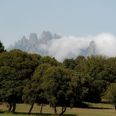 Village Del Mar Solaro エクステリア 写真