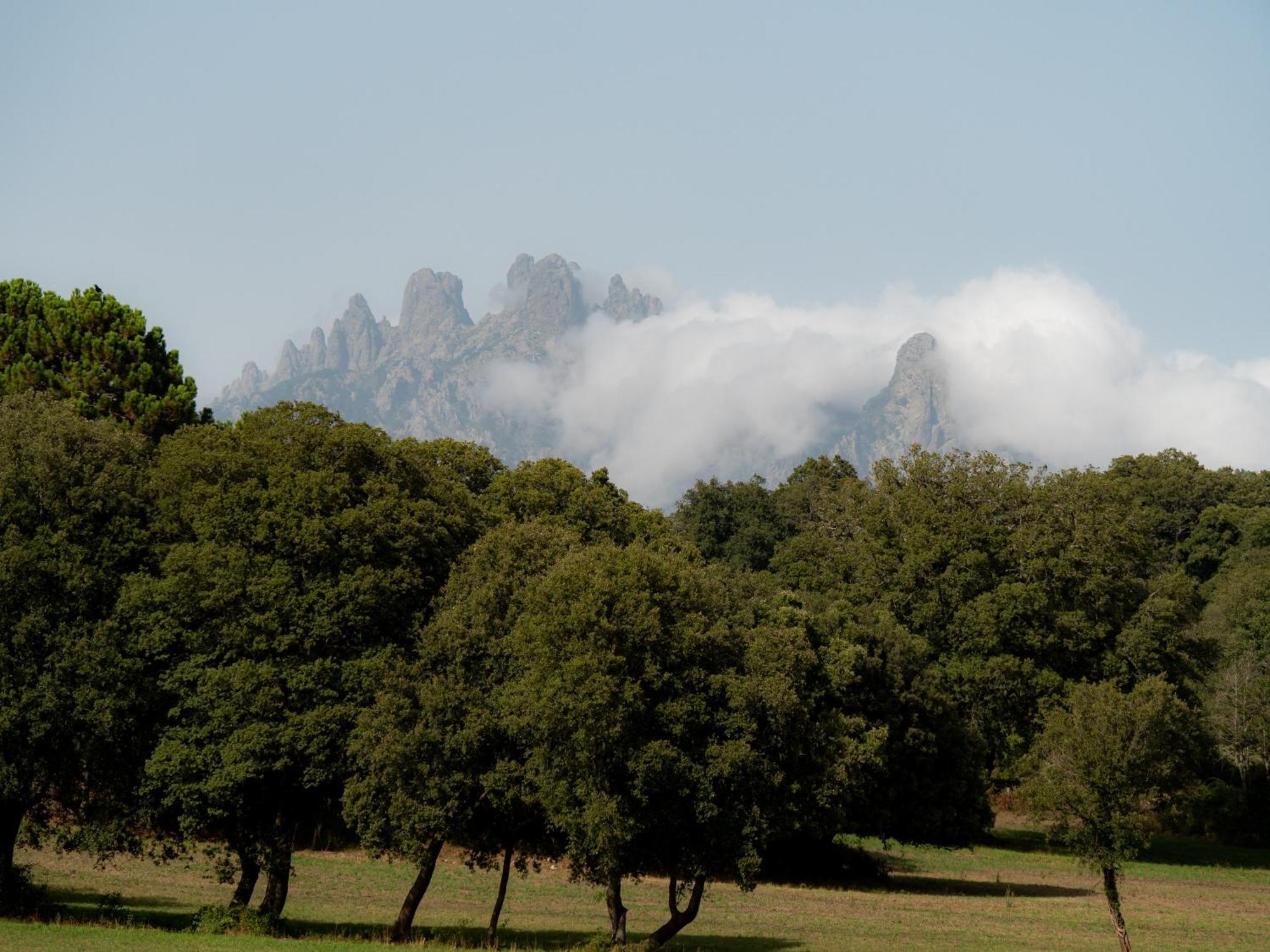Village Del Mar Solaro エクステリア 写真
