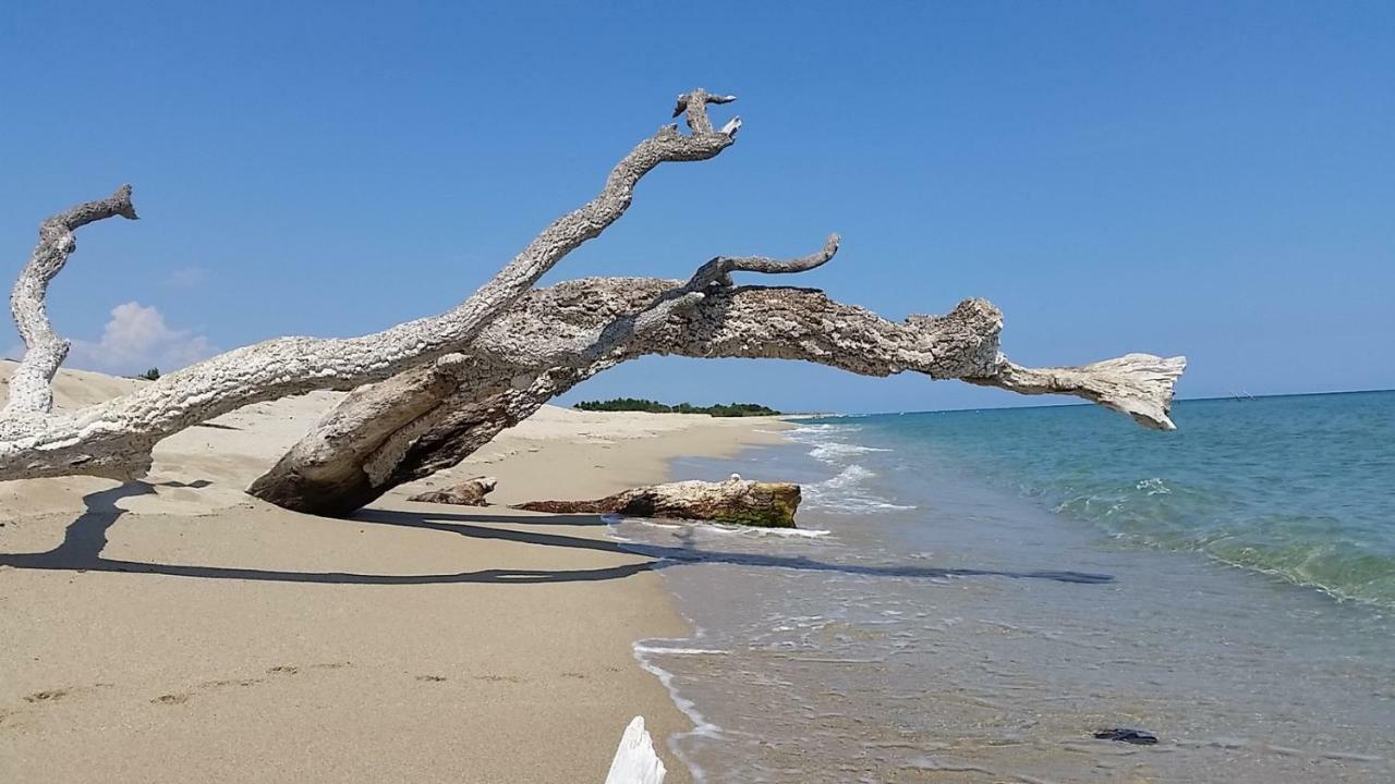 Village Del Mar Solaro エクステリア 写真